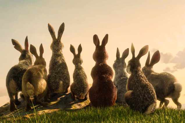watership-down